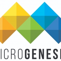 IT Service Management Services - MicroGenesis TechSoft